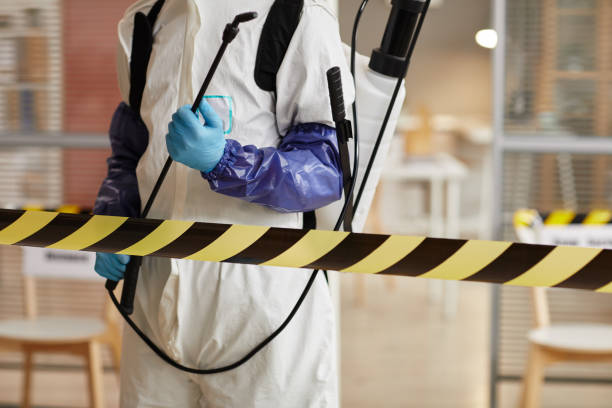Professional Hoarding Cleanup technician working in Lewisville, WA